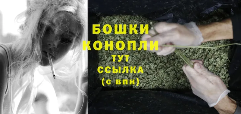 mega как войти  Новомосковск  Бошки Шишки SATIVA & INDICA 